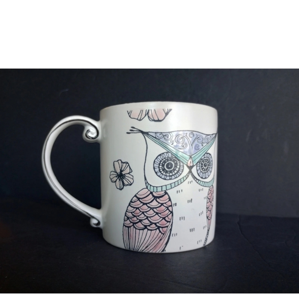 Spectrum Designz Large 20oz Coffee Tea Mug Cup with an Owl Life is a Hoot 2017